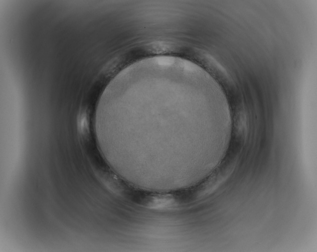 X0000111150214200907141348