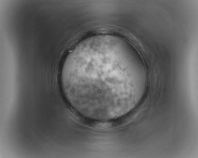 X0000111150217200907141348