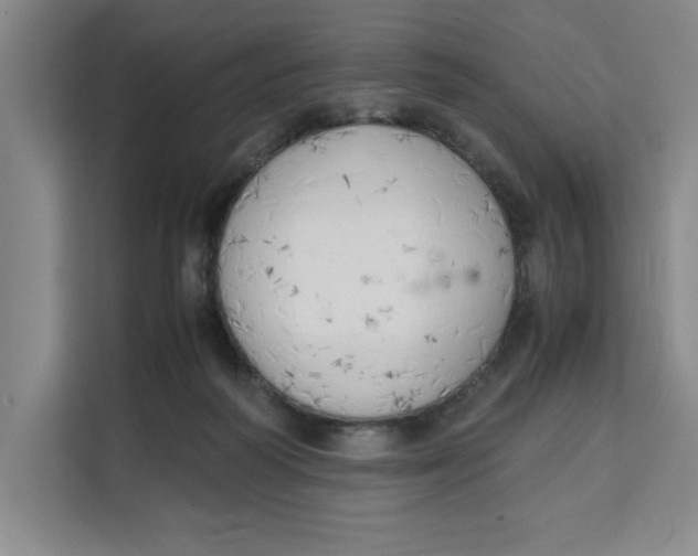 X0000111150218200907141348