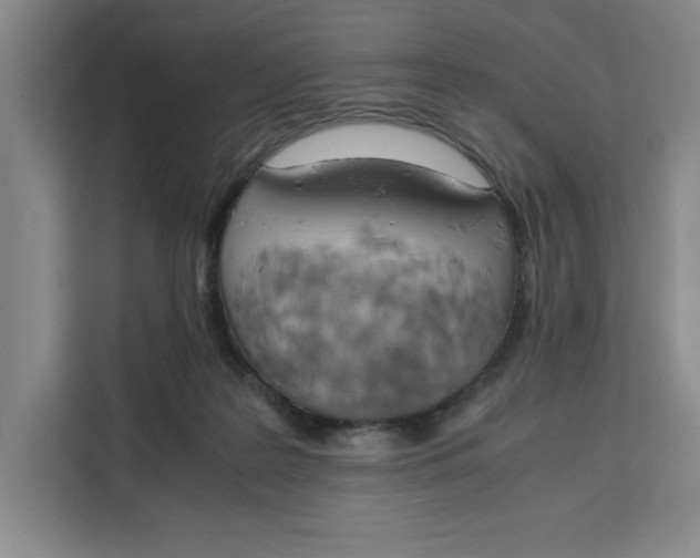 X0000111150219200907141348