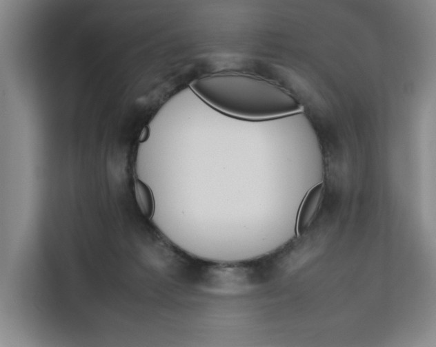 X0000111150221200907141348