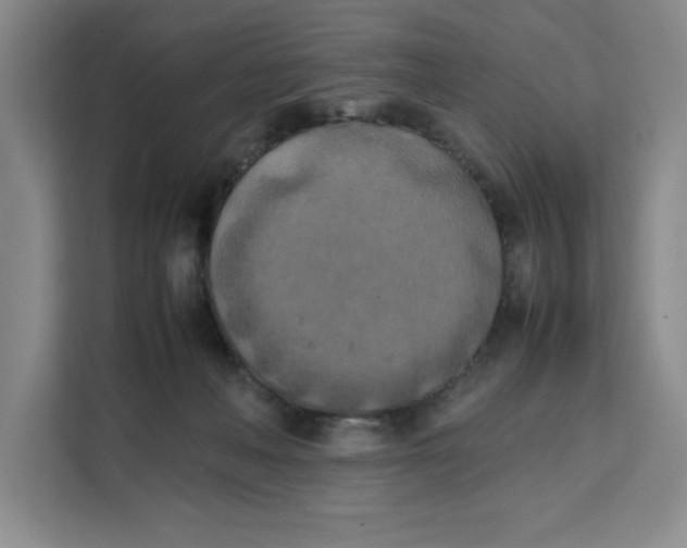 X0000111150222200907141348