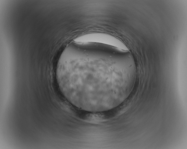 X0000111150223200907141348