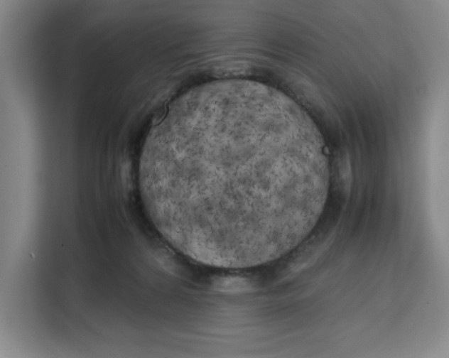 X0000111150224200907141348