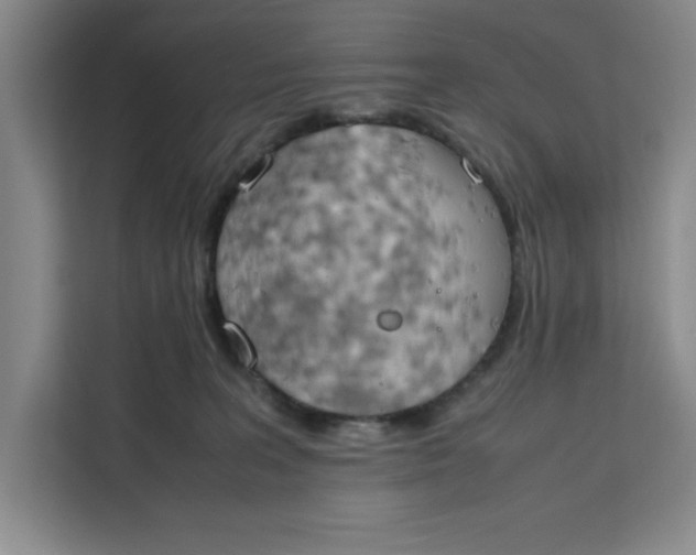 X0000111150227200907141348