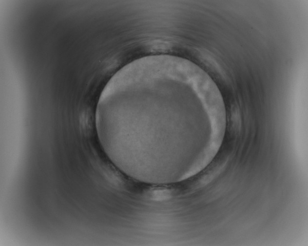 X0000111150228200907141348