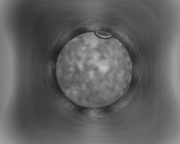 X0000111150229200907141348