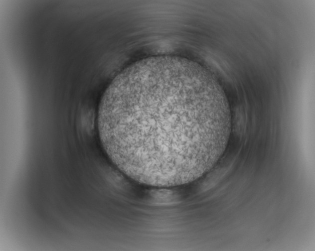 X0000111150230200907141348