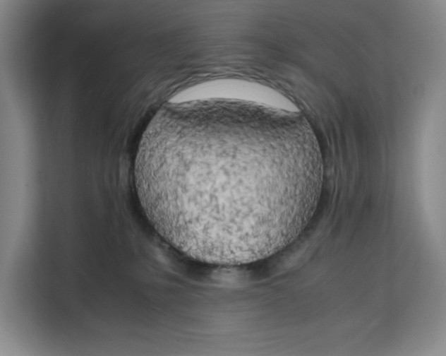 X0000111150231200907141348