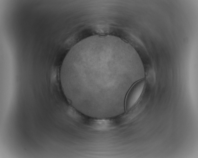 X0000111150233200907141348