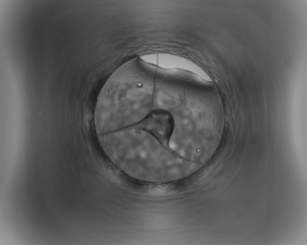 X0000111150235200907141347