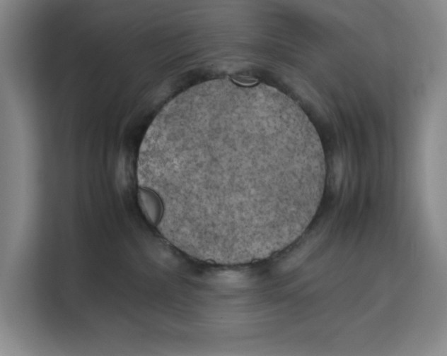 X0000111150236200907141347