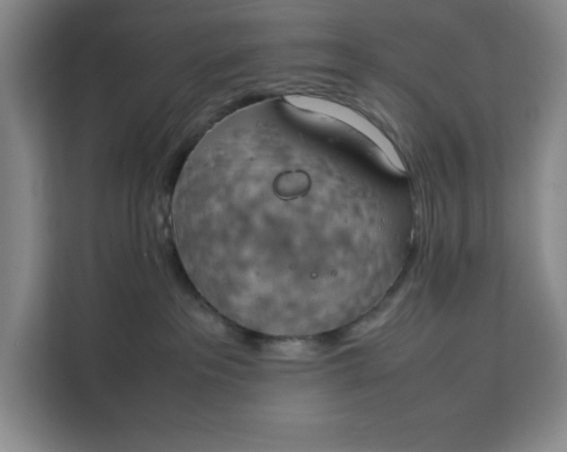 X0000111150237200907141347