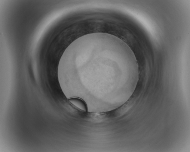 X0000111150239200907141347