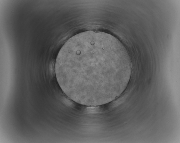 X0000111150240200907141347