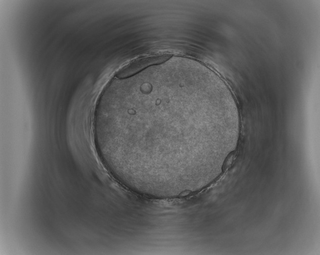 X0000111150241200907141347