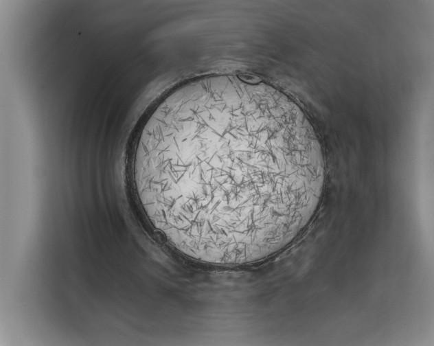 X0000111150242200907141347
