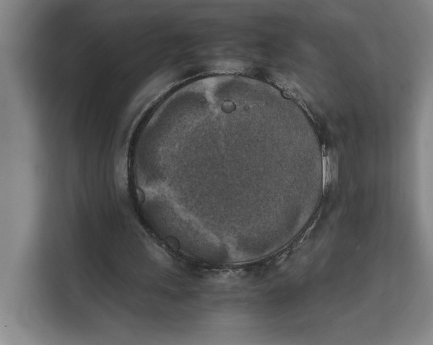 X0000111150243200907141347