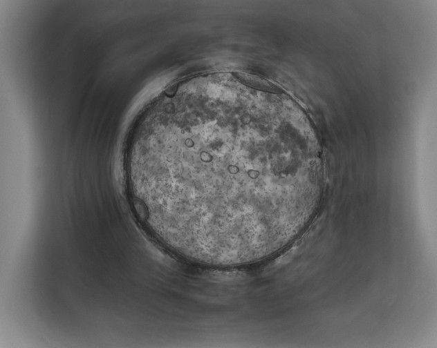 X0000111150245200907141347