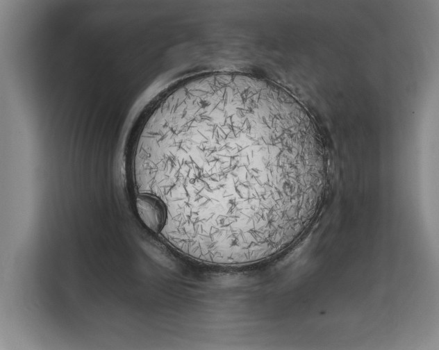 X0000111150246200907141347