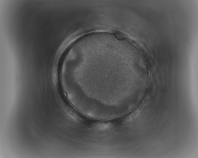 X0000111150247200907141347