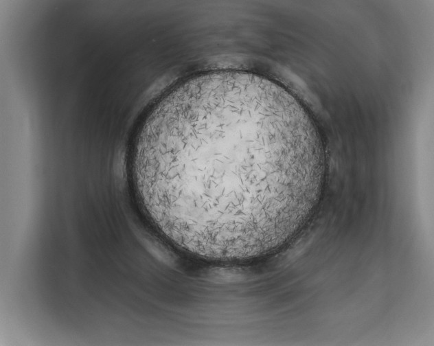 X0000111150250200907141347