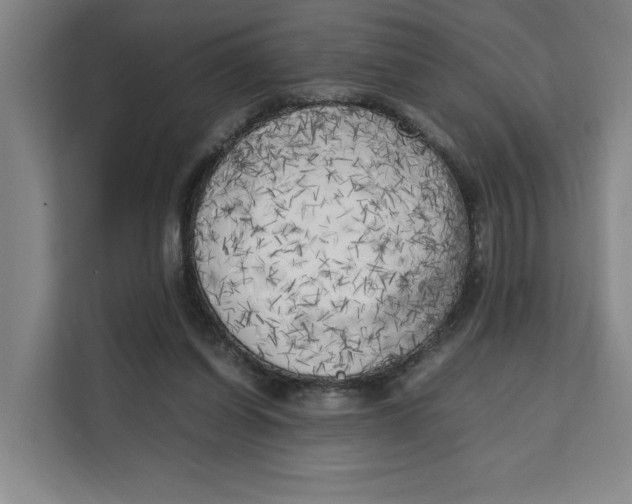X0000111150254200907141347
