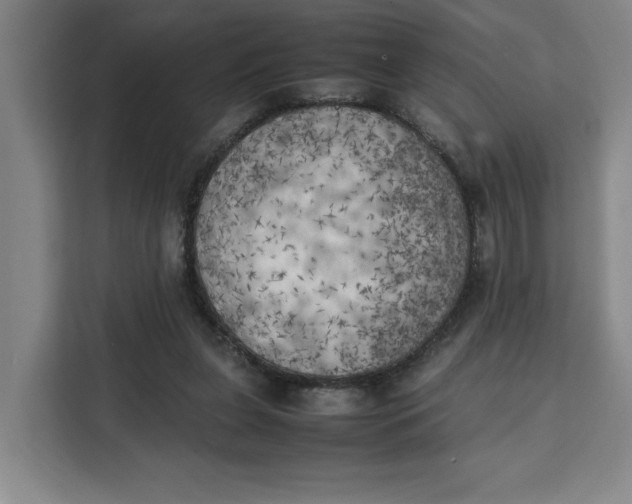 X0000111150255200907141347