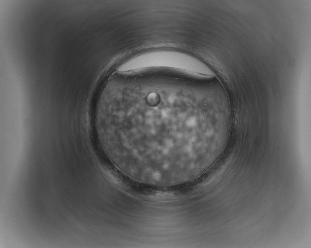 X0000111150256200907141347