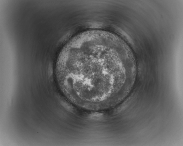 X0000111150257200907141347