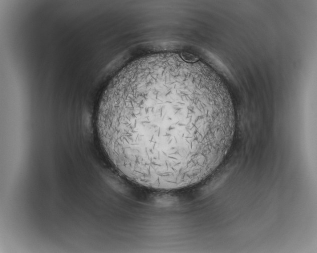 X0000111150258200907141347