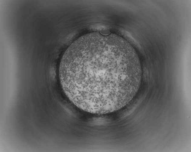 X0000111150259200907141347