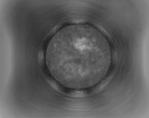 X0000111150260200907141347