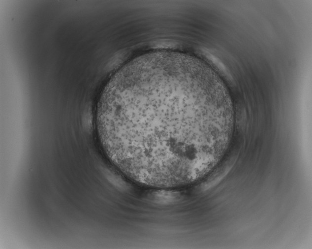 X0000111150261200907141347