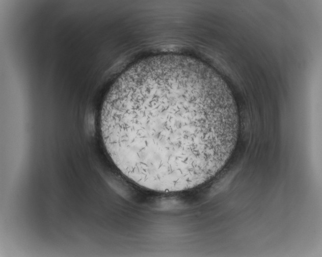 X0000111150262200907141347
