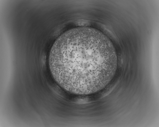 X0000111150263200907141347