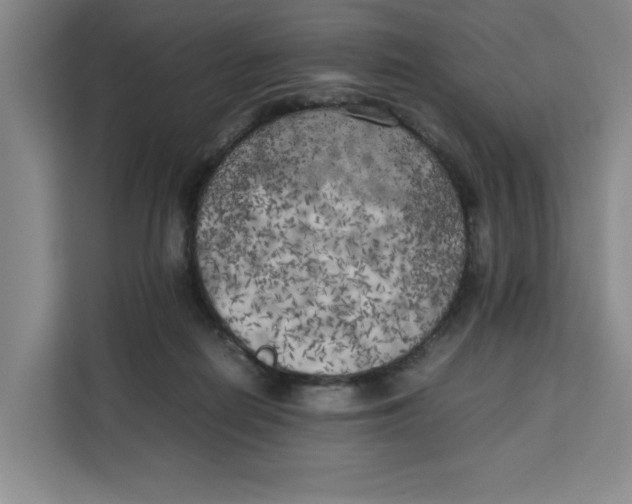 X0000111150266200907141347