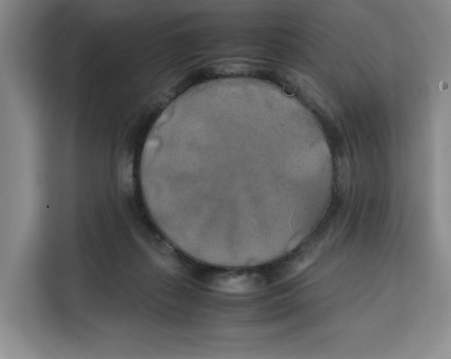 X0000111150267200907141347