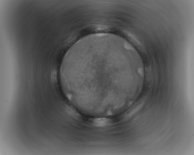 X0000111150269200907141347