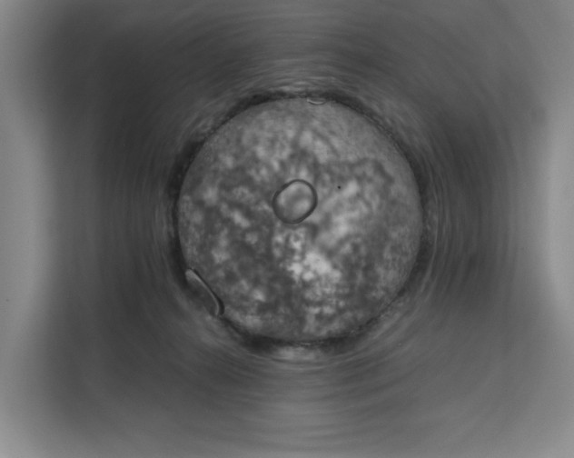 X0000111150272200907141347