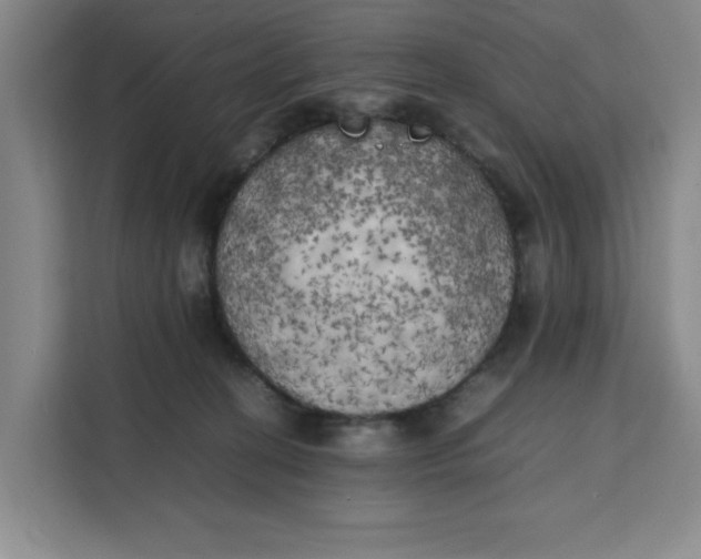 X0000111150274200907141347