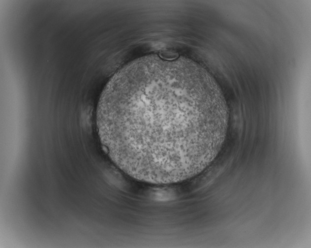 X0000111150275200907141347