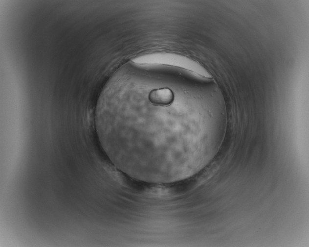 X0000111150276200907141347