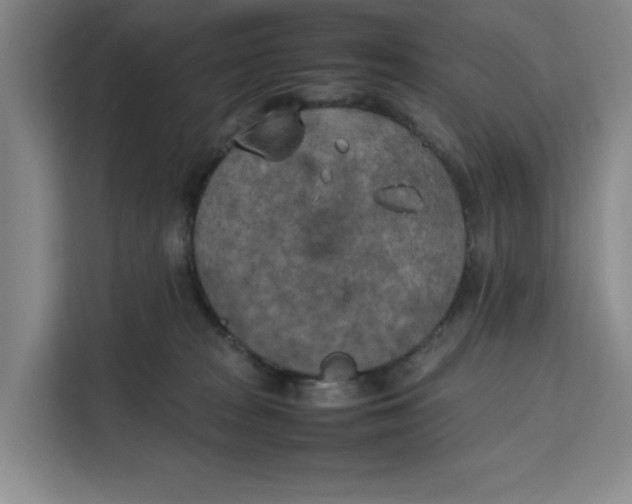 X0000111150277200907141347