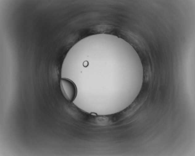 X0000111150279200907141347