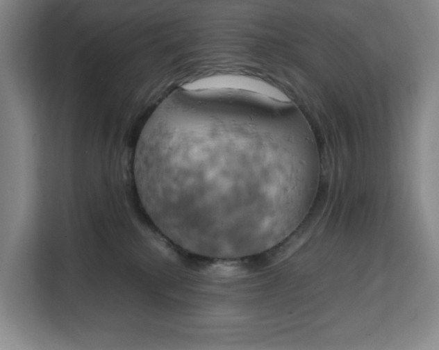 X0000111150280200907141347