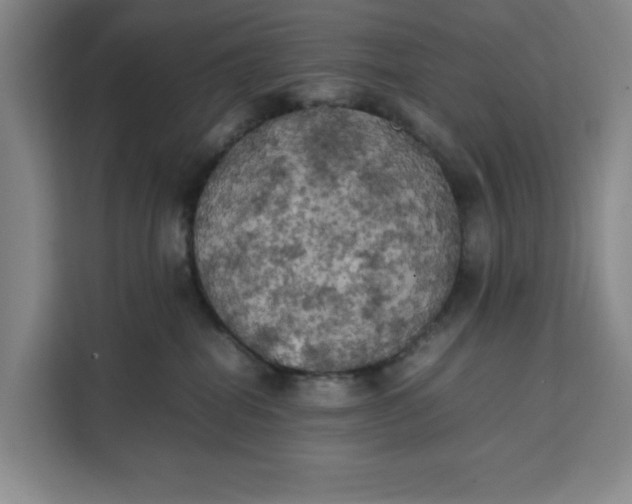 X0000111150282200907141347