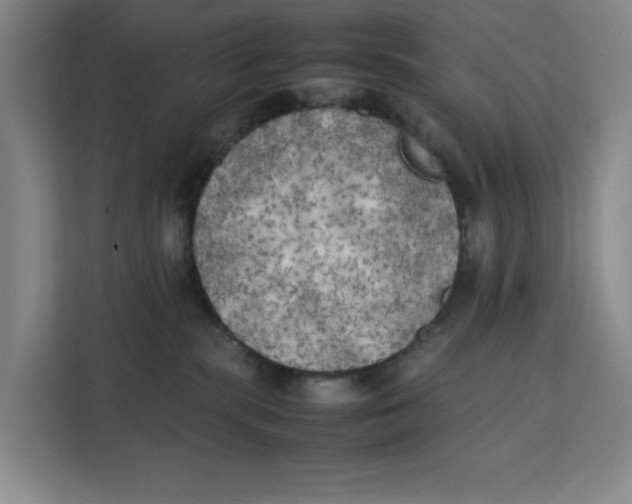 X0000111150283200907141347