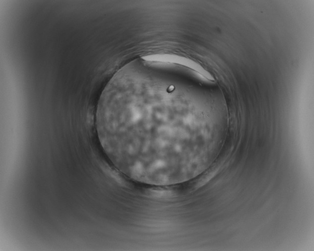 X0000111150284200907141347