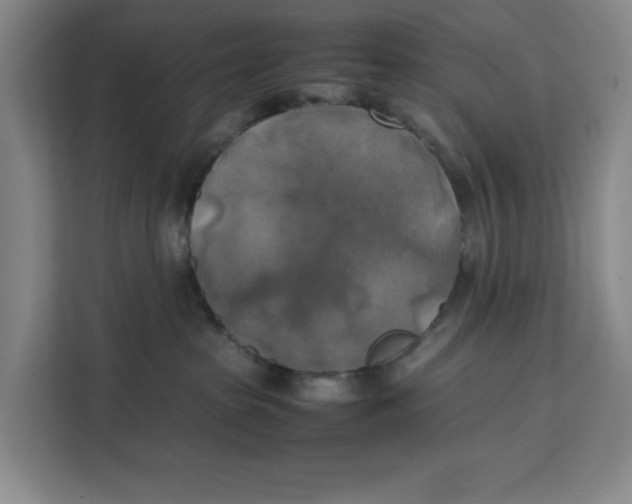 X0000111150285200907141347
